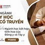 Bác Sĩ Y Học Cổ Truyền Tiếng Anh Là Gì