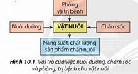 Công Nghệ 10 Chân Trời Sáng Tạo Thiết Kế