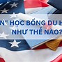 Du Học Mỹ Ptth Tại Mỹ 2024